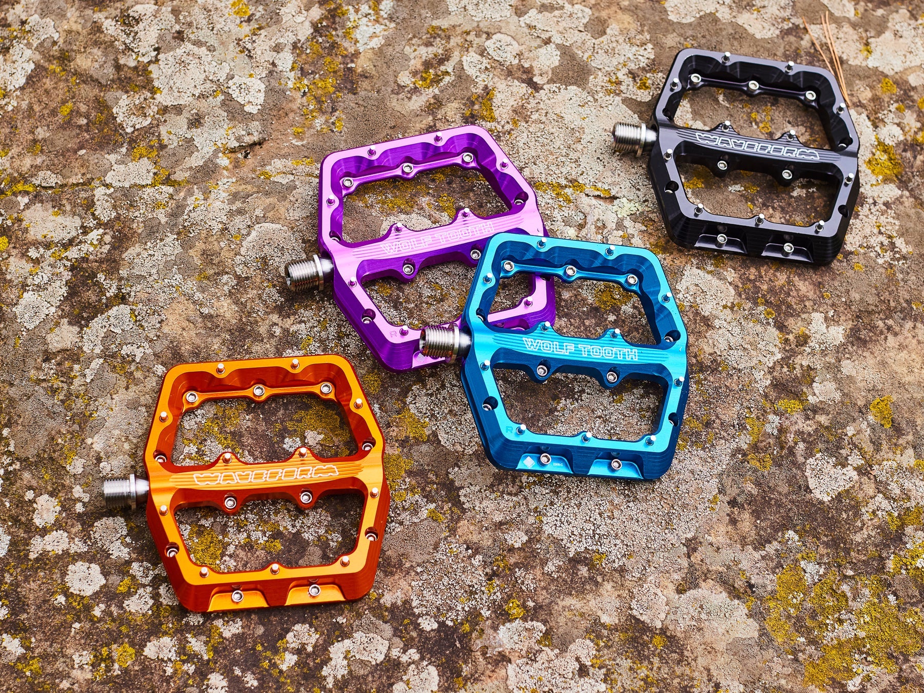 Wolf Tooth Components Bikeaholic