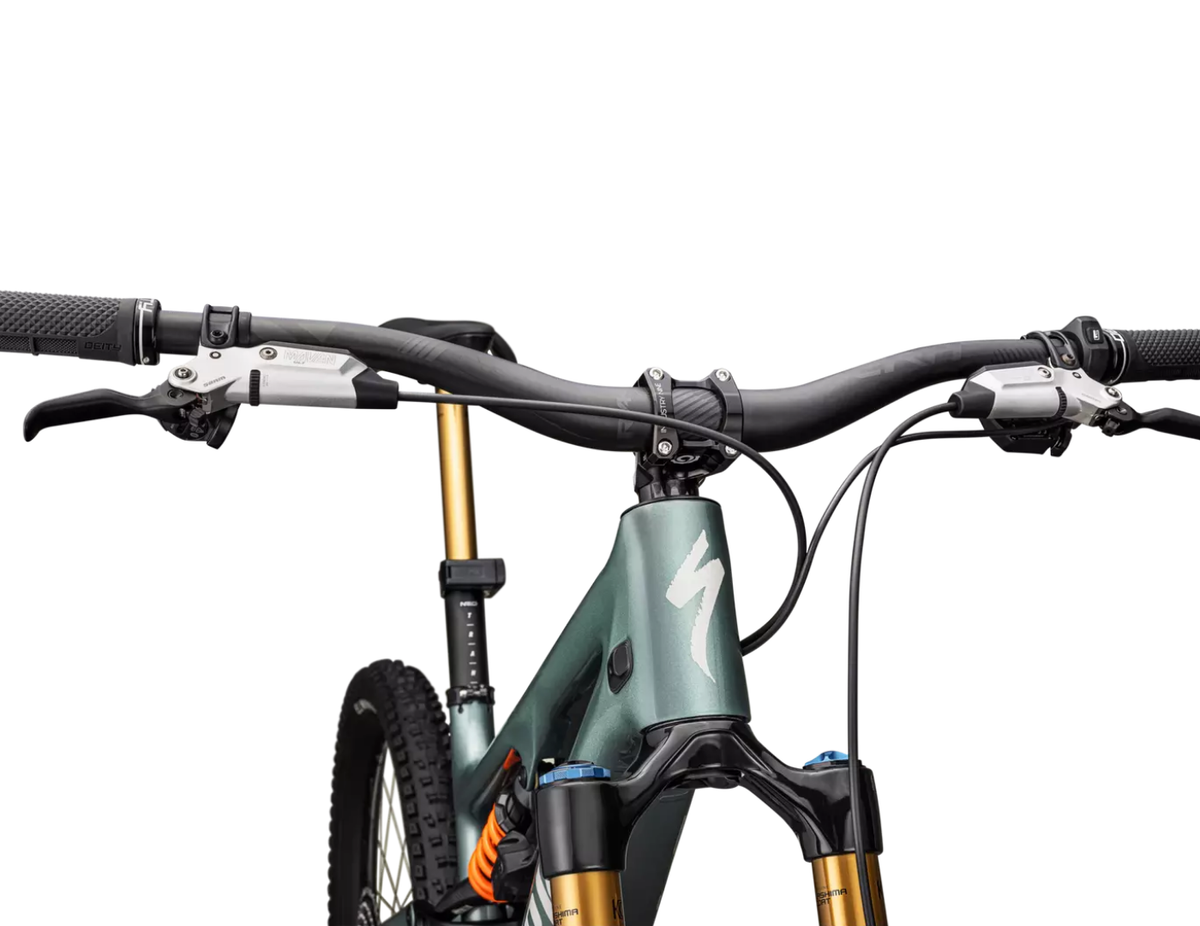 S-Works Turbo Levo SL LTD 2025