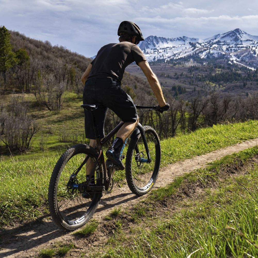 Enve Boost Mountain Fork
