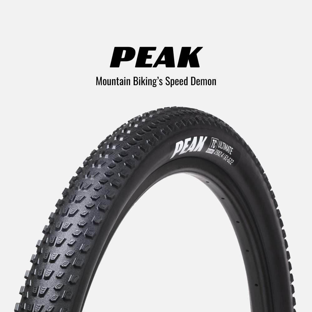 Mountain Bike Goodyear Bike Tyres Goodyear Newton MTF Downhill