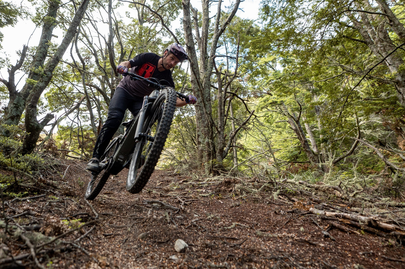 E-Bike Speed Limits: How Fast Is Too Fast?