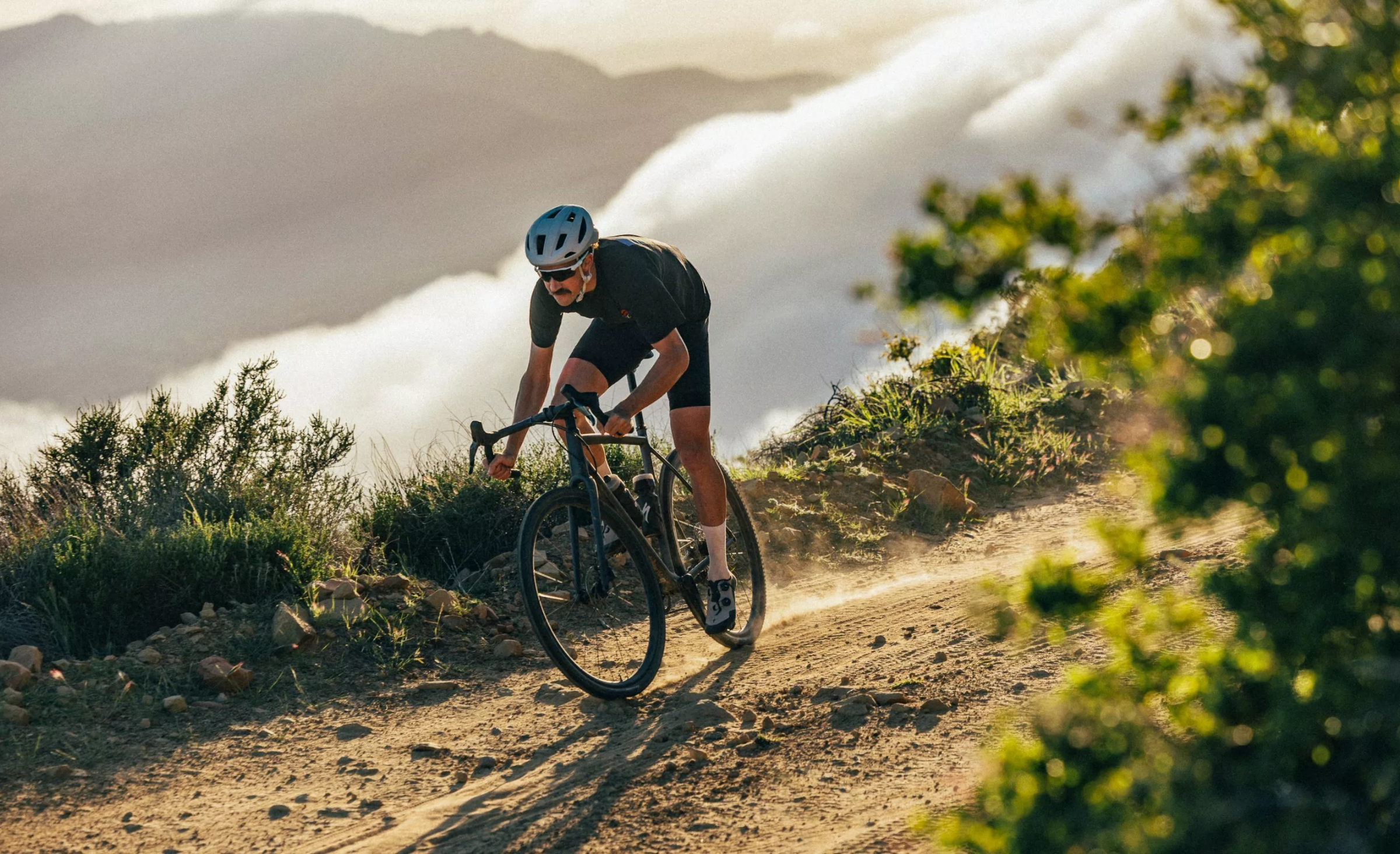 Specialized