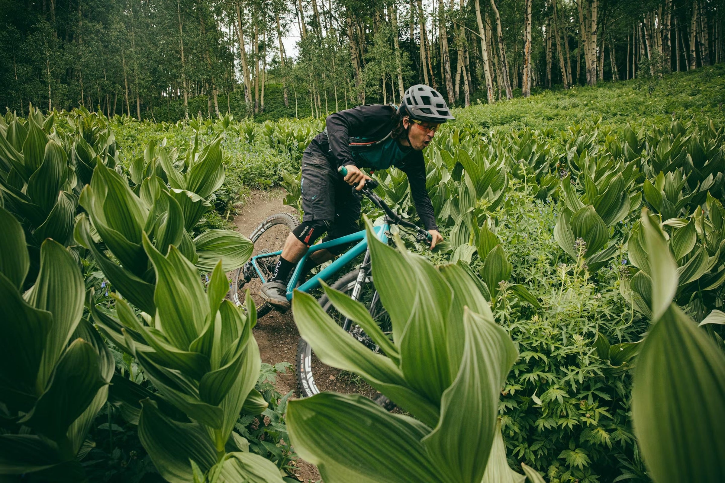 Hardtail