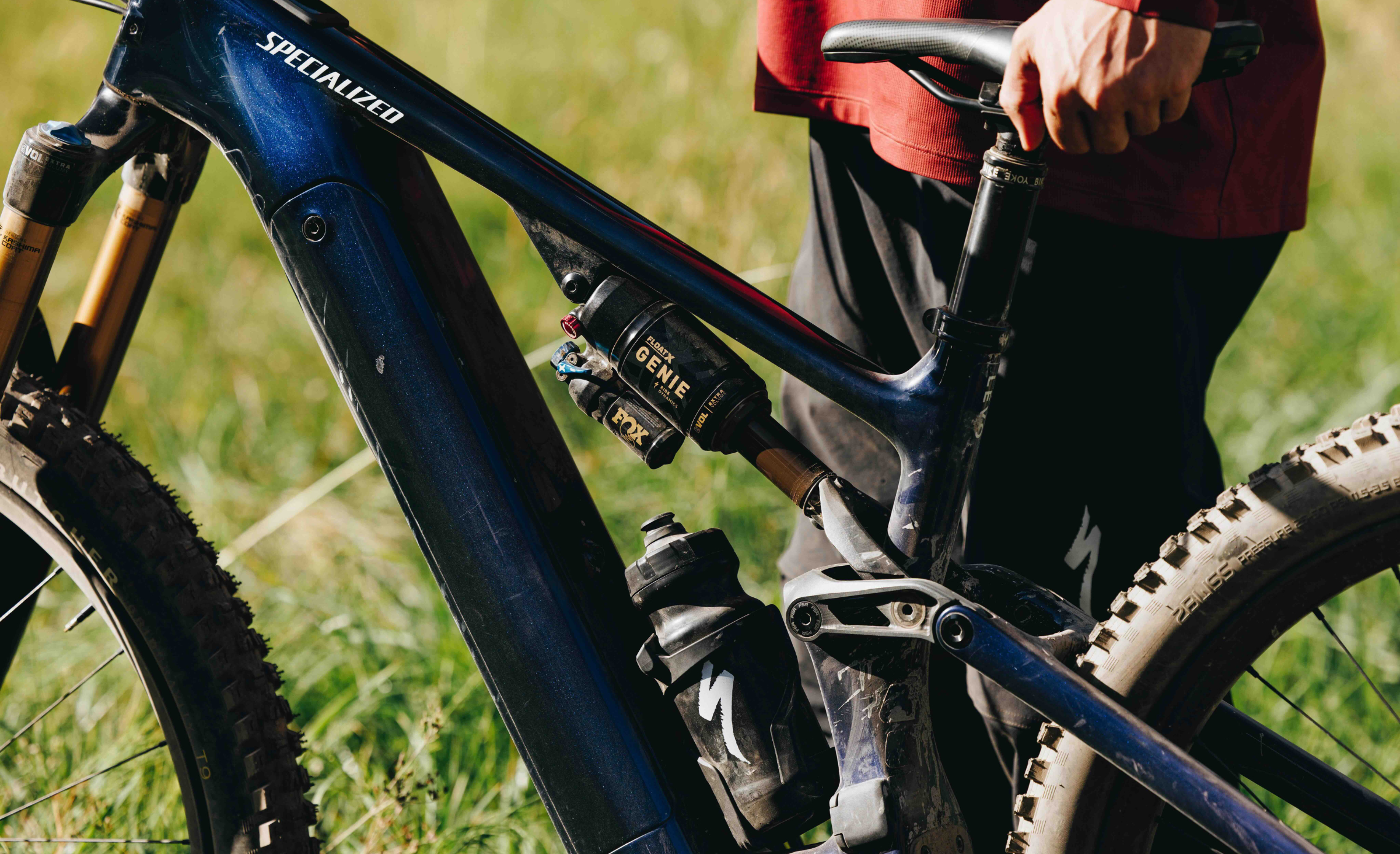 Specialized Frames