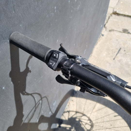 Ex-Demo Specialized Levo Comp Alloy S5