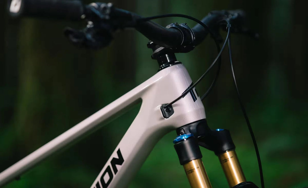 Transition Spur Carbon Eagle 90