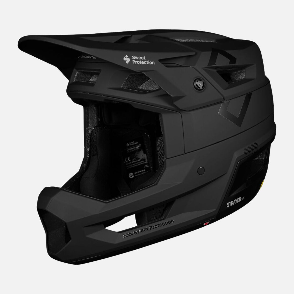 Strayer 2 Vi Mips Helmet