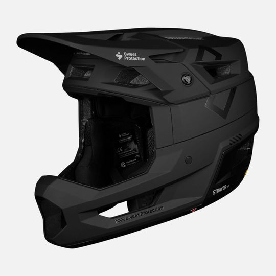 Strayer 2 Vi Mips Helmet
