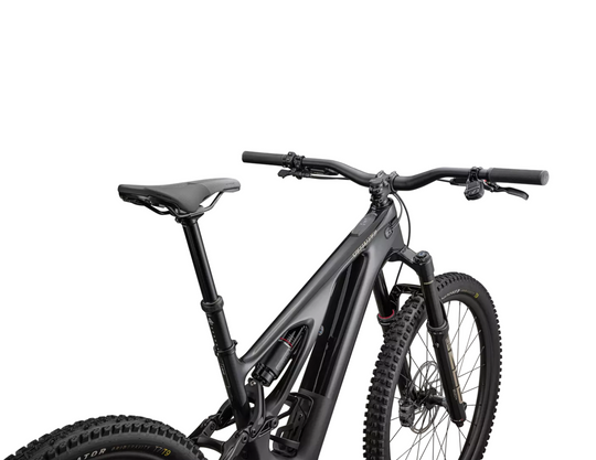 Turbo Levo Expert T-Type 2025
