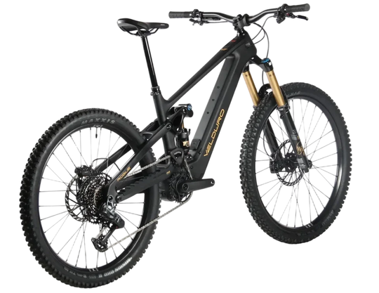 Rogue R M25