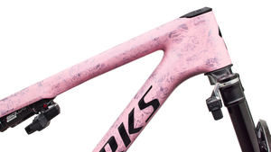 S-Works Epic 9 Frameset 2027