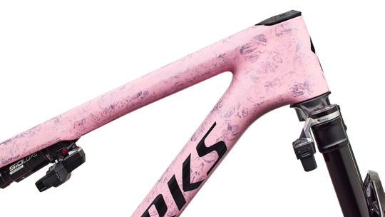 S-Works Epic 9 Frameset 2027