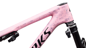 S-Works Epic 9 Frameset 2027