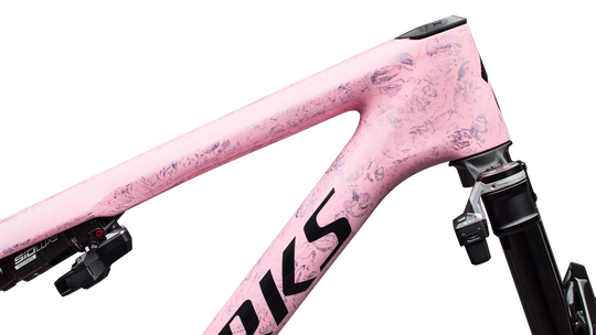 S-Works Epic 9 Frameset 2027