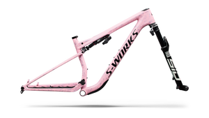S-Works Epic 9 Frameset 2027