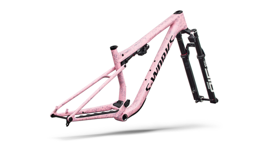 S-Works Epic 9 Frameset 2027