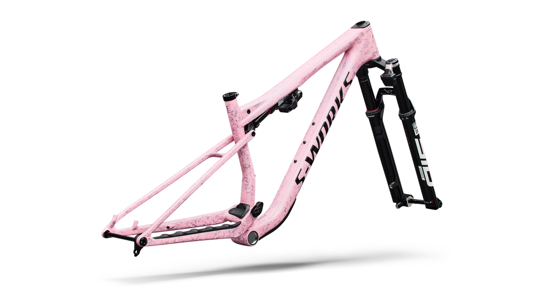 S-Works Epic 9 Frameset 2027