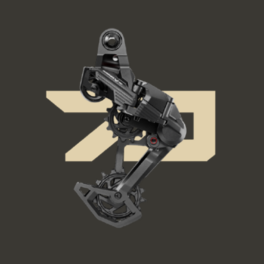 Eagle 70 components
