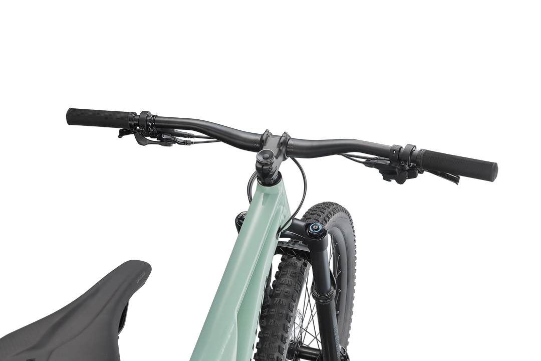 Stumpjumper Alloy 2022