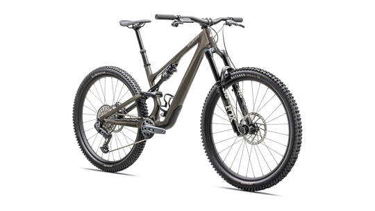 Stumpjumper 15 Expert 2025