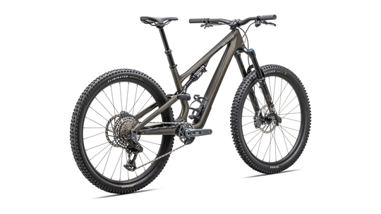 Stumpjumper 15 Expert 2025