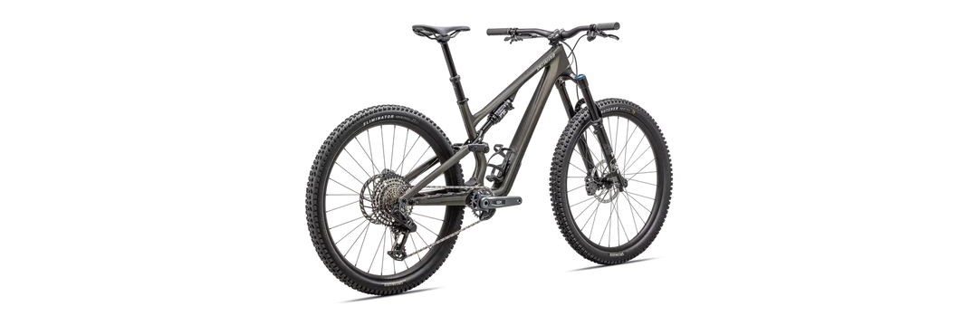 Stumpjumper 15 Expert 2025