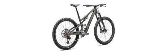 Stumpjumper 15 Expert 2025