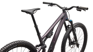 Stumpjumper 15 EVO Expert Di2 2026