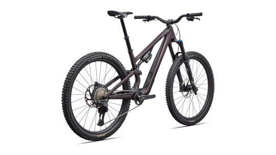 Stumpjumper 15 EVO Expert Di2 2026