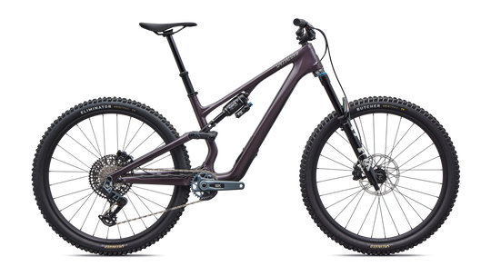 Stumpjumper 15 EVO Expert AXS 2026