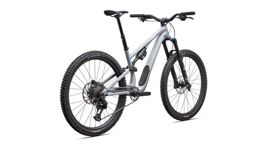 Stumpjumper 15 EVO Comp Alloy  - SRAM Eagle 70, FOX Rhythm