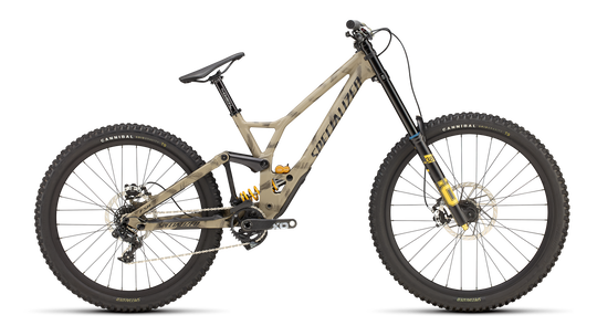 Demo Race