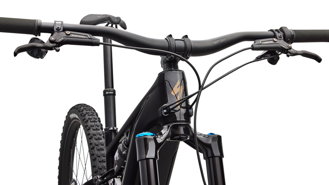 Turbo Levo R Expert 2026