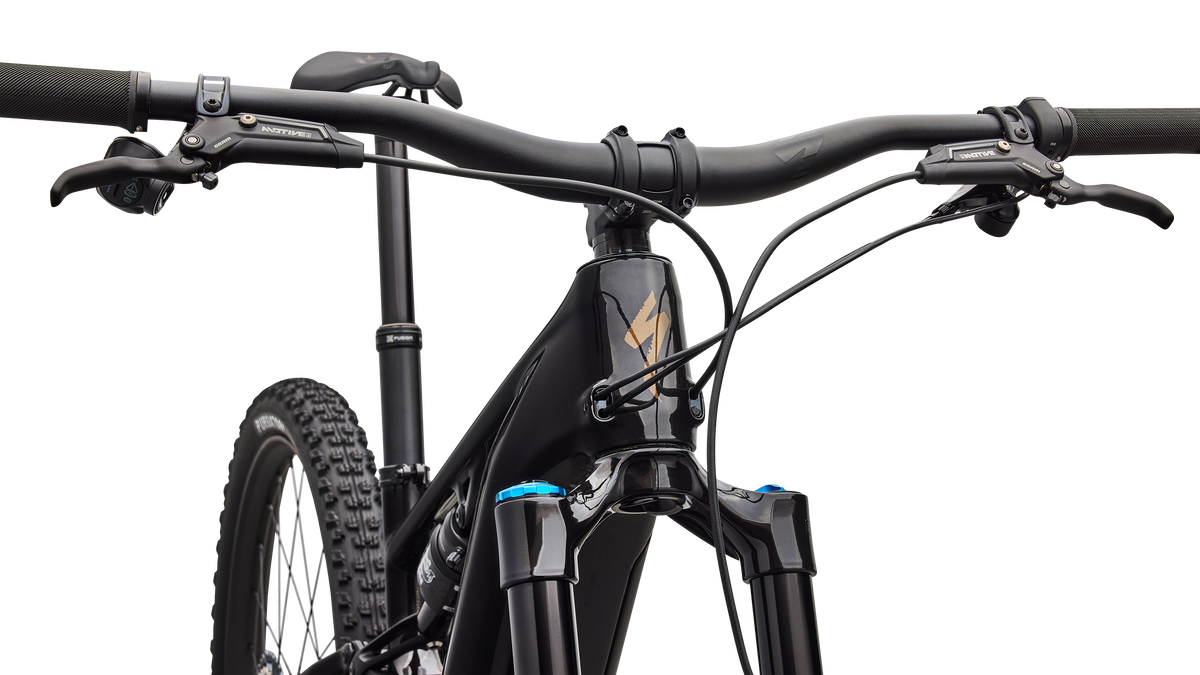 Turbo Levo R Expert 2026