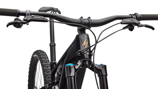 Turbo Levo R Expert 2026