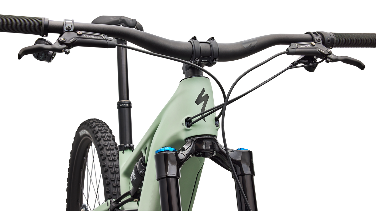 Turbo Levo R Expert 2026