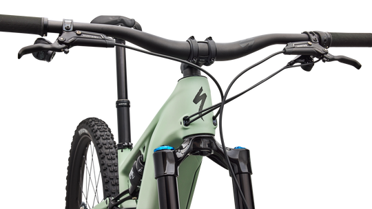 Turbo Levo R Expert 2026