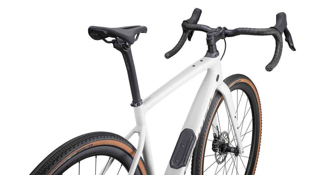 Diverge Expert Carbon 2024