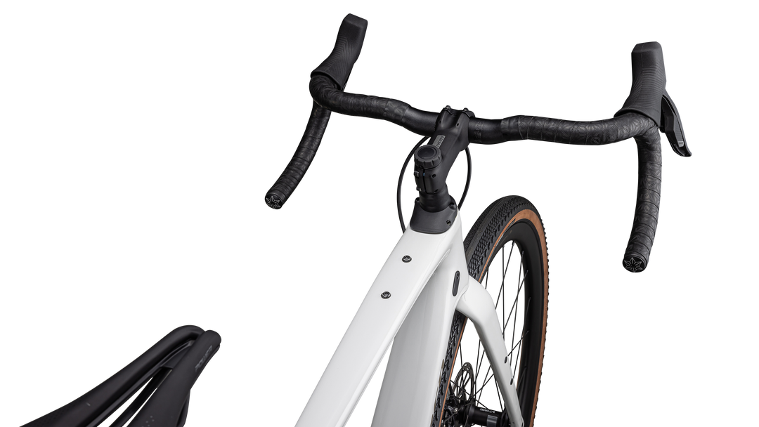 Diverge Expert Carbon 2024