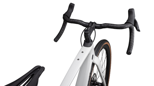Diverge Expert Carbon 2024