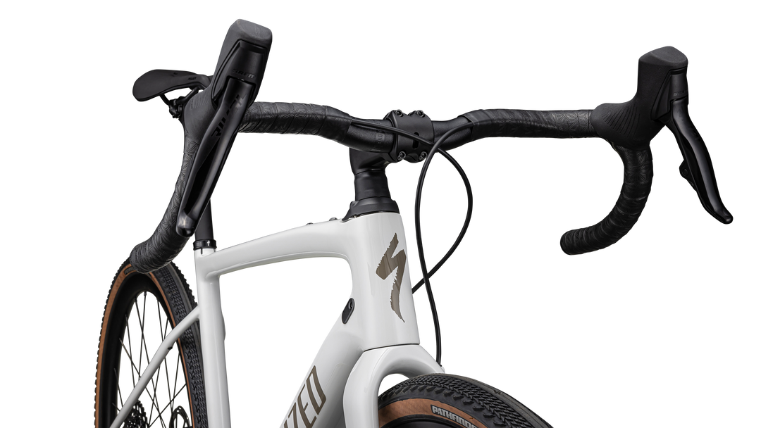 Diverge Expert Carbon 2024