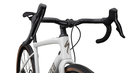 Diverge Expert Carbon 2024