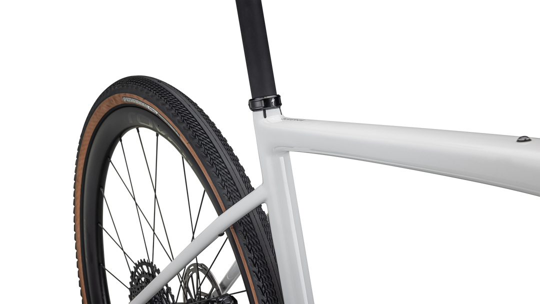 Diverge Expert Carbon 2024