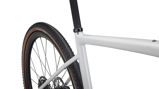 Diverge Expert Carbon 2024