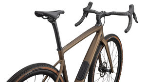 Diverge Expert Carbon 2025