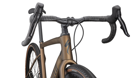 Diverge Expert Carbon 2025
