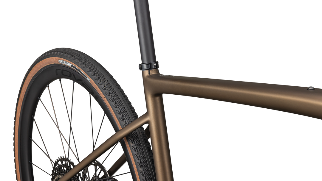 Diverge Expert Carbon 2025