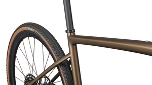 Diverge Expert Carbon 2025