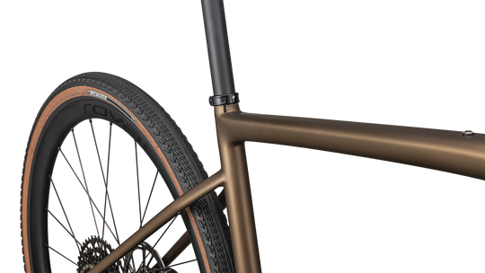 Diverge Expert Carbon 2025