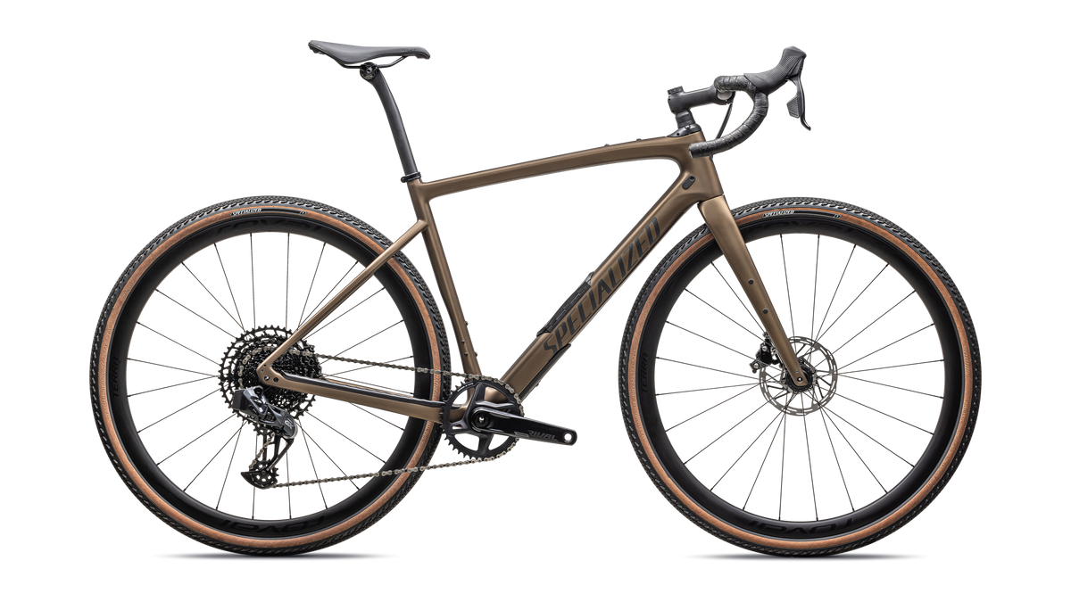 Diverge Expert Carbon 2025
